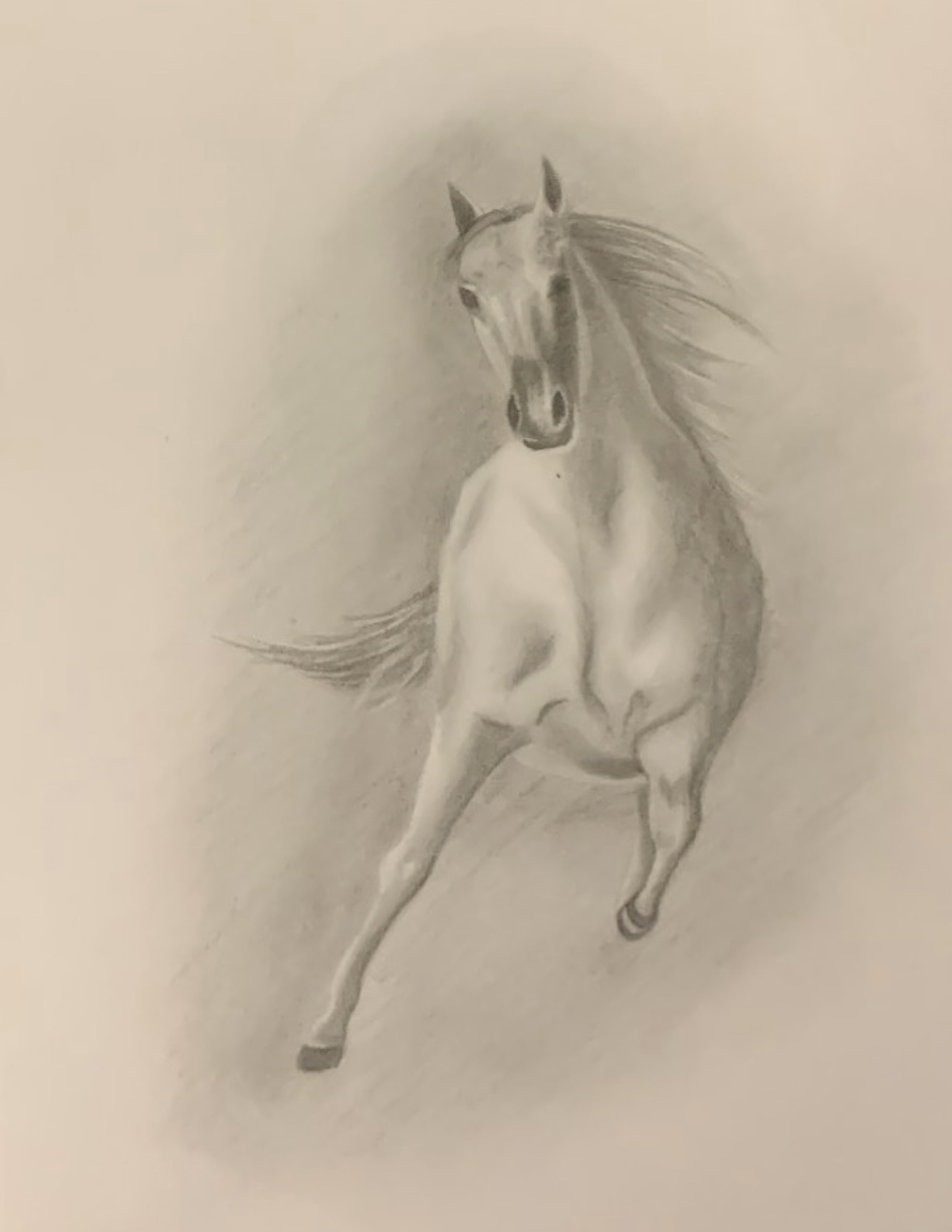 Spirit of the Horse